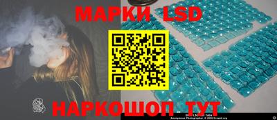 стаф Бийск