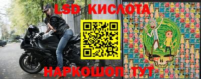 стафф Берёзовский