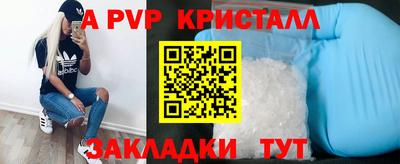 стаф Бийск