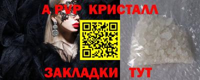 стаф Бийск