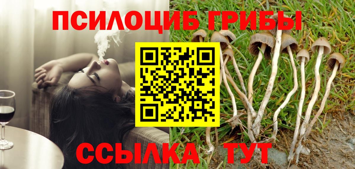 Ковров  Галлюциногенные грибы MAGIC MUSHROOMS  Псилоцибиновые грибы мухоморы  Вход с VPN 