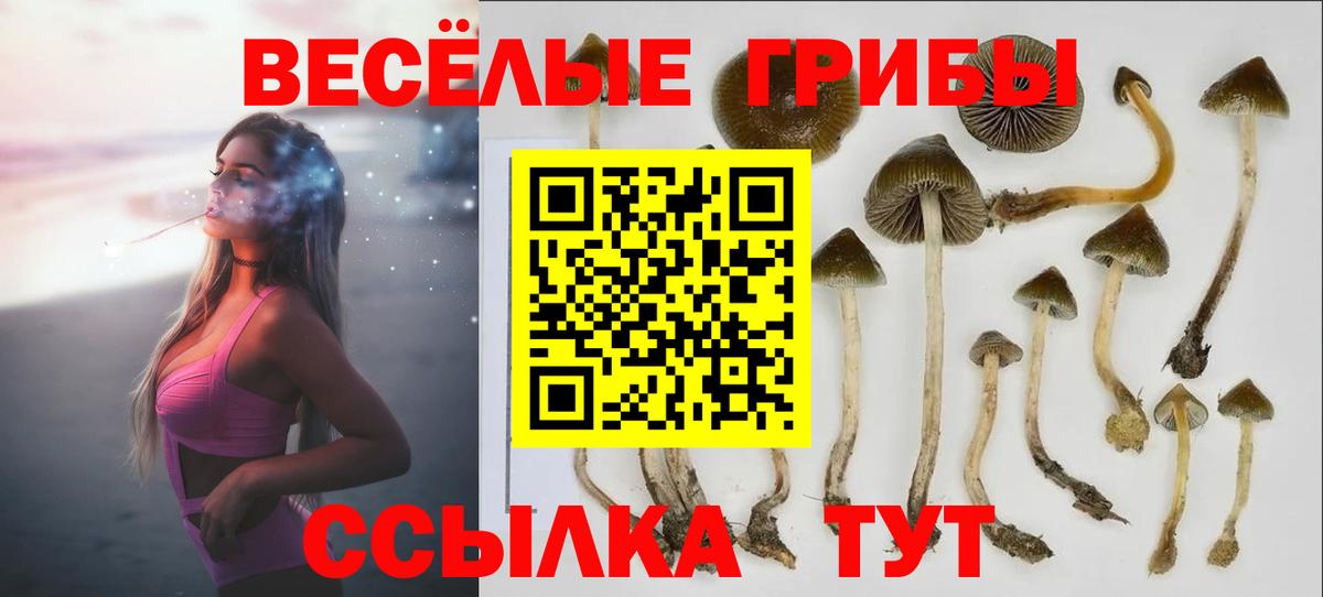 Псилоцибиновые грибы MAGIC MUSHROOMS Ковров